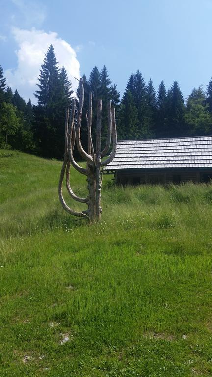 Brunarica Bled Zatrnik Pokljuka 외부 사진