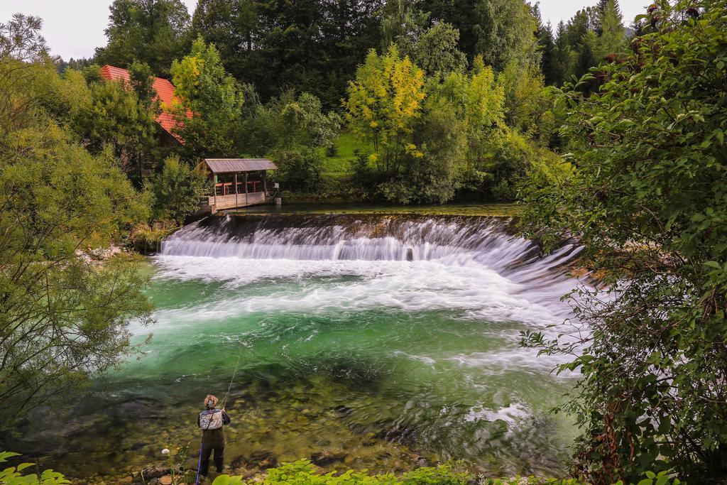 Brunarica Bled Zatrnik Pokljuka 외부 사진