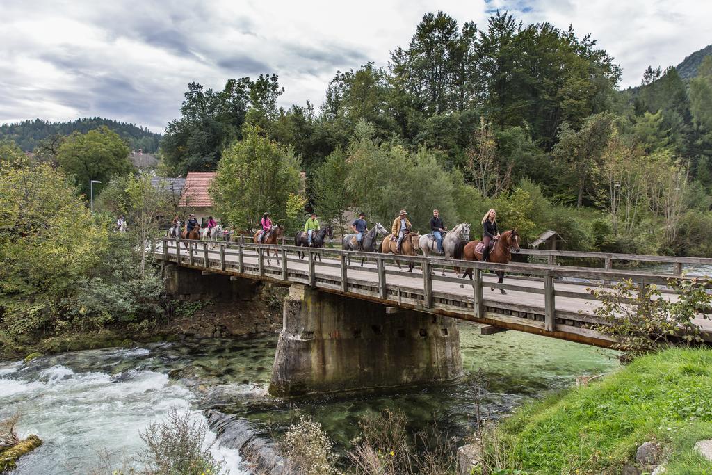 Brunarica Bled Zatrnik Pokljuka 외부 사진