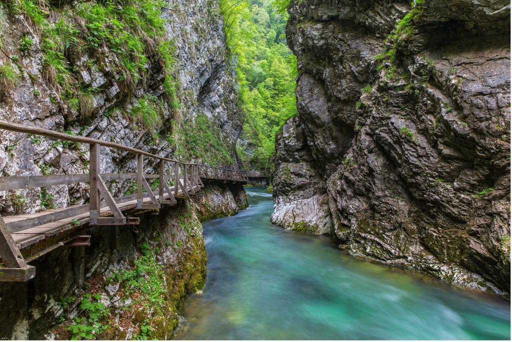 Brunarica Bled Zatrnik Pokljuka 외부 사진