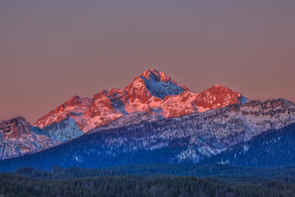 Brunarica Bled Zatrnik Pokljuka 외부 사진