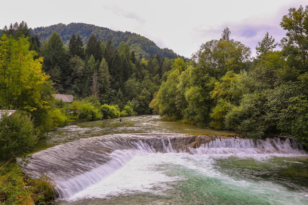 Brunarica Bled Zatrnik Pokljuka 외부 사진